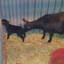 가산농장 이미지