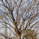 천곡 마을회관 이미지