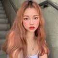 롣드(rodde)
