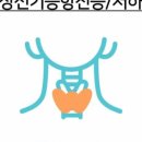 판교바른내과의원 네이버블로그
