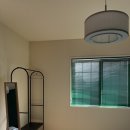 벽돌집순이 이미지