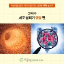 교대사랑약국 이미지