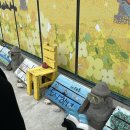 제주 해녀체험 애월 도시해녀 비용 내돈내산 문어 잡은 후기