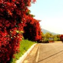 통양사랑테마공원 이미지