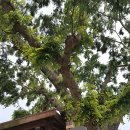 용암마을회관 이미지