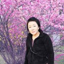 장미미용실 이미지