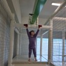 효행로265번길 | [화성 무인 키즈카페/방글방글] 가성비 좋은 키즈카페 대관! 재방문 후기!