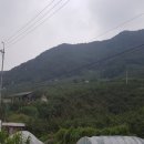 하천리-13 이미지