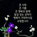 멋진 하루 이미지