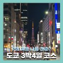 전가닭갈비 | J들이 P처럼 놀아본 일본 도쿄 3박4일 여행일정