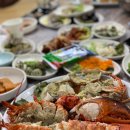 원조멍청도
