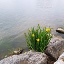 (주)엠스트리트 이미지