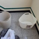 명동세탁 | 종로단체세탁 명동세탁배달 호탈리아 이용해 본 솔직 후기