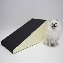 체리애견 이미지