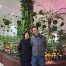 대건통신(주) 네이버블로그