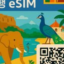 Pickme(픽미) | 🇱🇰 스리랑카 여행 준비물: 필수 비자(ETA) 신청법, 기차 예매, 픽미(PickMe) 앱, 홍차 쇼핑 리스트