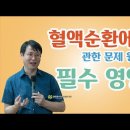 혈액순환에 관한 문제 원인부터 필수 영양제 이미지