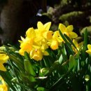 두일중학교 사거리-2 이미지