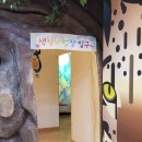 목재문화자연사체험관 이미지