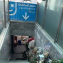 사파동245 이미지