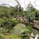 에덴축산 이미지