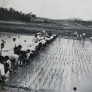 무장초등학교 이미지