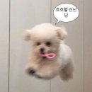 서울장춘족발 | 추워지면 여름이 생각나는,, 🕶️🪲🩴🌞