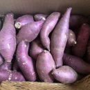 선우농산