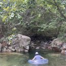 제천오토카센타 | ▶캠핑 브이로그◀ 제천 덕동골 오토 캠핑장, 나무 그늘이 풍부한 C사이트