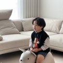 유니시티유니크패밀리평택센터 | 청북 평택가구단지 코모도홈 쇼파 식탁 내돈내산