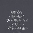 내인생의봄날