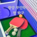 짱탁구광양 | 광양 놀 거리 추천 무인 탁구 짱 탁구 광양중동점