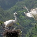 백로마을 이미지