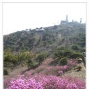 추억향기 | 강화 고려산 진달래산행(11.4.23)