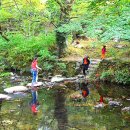 선운사의추억 이미지