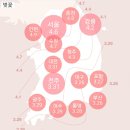 개나리민박 이미지