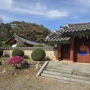 53 | 광주 광산구 월봉서원, 문화관광해설 들으며 역사 공부하기!