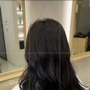 라벨레자