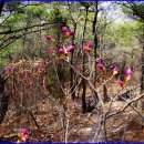 원동마을회관 이미지