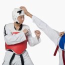 인하코리아 태권도 이미지