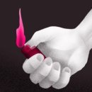 픽시코리아 이미지