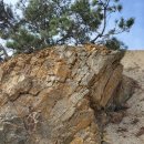 칠포1리 이미지