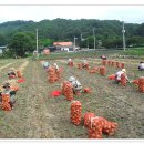 구성파출소 이미지