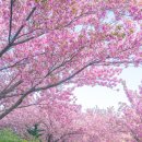 만수노인복지원 이미지