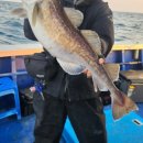 강원숙박 이미지