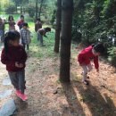 요가 1반 이미지