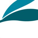 현대약품(주) 이미지