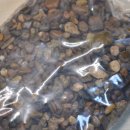 여울목 아쿠아 이미지