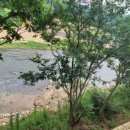 물새바람펜션 이미지