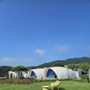 캔빌 | 강화도 여행 | 숙소 오션빌글램핑, 수영장, 바베큐, 불꽃놀이 내돈내산 후기